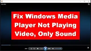 (3 Ways) Fix Windows Media Player Not Playing Video Only Sound