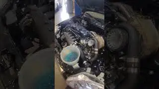 In-house Built K24 first startup 💪 #bakerbuiltgarage #k24 #ekhatch #vtec #hondacivic #turbo