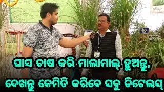 Grass farming all details in Odia for the first time, dekhantu kemti karibe ghasa chasa o tanka