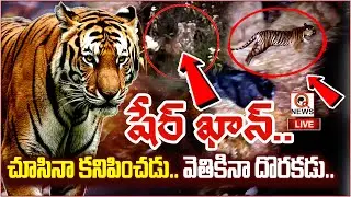 LIVE : జనగామ షేర్ ఖాన్ ఎక్కడ..? | Tiger Hulchul In Telangana I Shanarthi Telangana