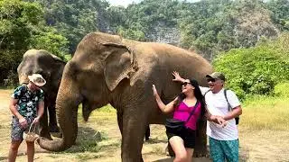 2025 Krabi Elephant Green Sanctuary Tour