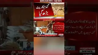 Latest update about wheat price|Farmers in Pakistan|Latest news today#viral#latestnews #latestupdate
