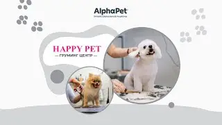 AlphaPet и академия Happy Pet