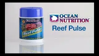 Reef Pulse by Ocean Nutrition (How to target feed)