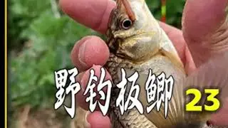 资源没找对，努力都白费#原来钓鱼才是运动顶流 #野钓鲫鱼 @DOU+小助手