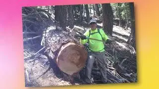 Community Heroes - Richard, Friends of Desert Mountains