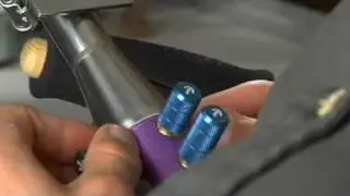 About Wesley Fleming's Flameworked Glass Insects