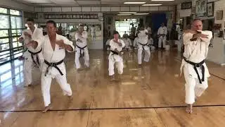 КАРАТЭ  !!!!!! ВИЗИТКА  СТИЛЯ !!!  Ni No Kata  ---  Soke Takayuki Kubota, 10th Dan  Karate   IKA