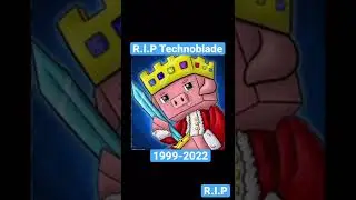 June 30th 2022 #technoblade #technobladeneverdies