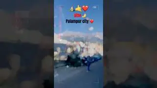 Palampur city #mountains #vibes subscribe ❤️🤌