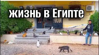 ЕСЛИ ВЫ ПРИЕДЕТЕ  В ХУРГАДУ / КАУСЕР, Мубарак 2 / стоит ли ехать жить в Египет 