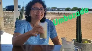 Da S&eacute;rie S&oacute; Sert&atilde;o 