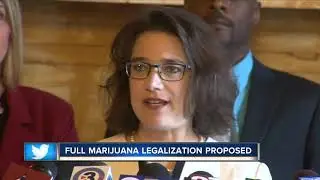 Full marijuana legalization proposed in Wisconsin