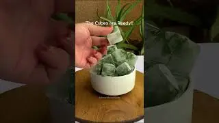 Simple Hack to Store Curry Leaves for Months | Freezer Method