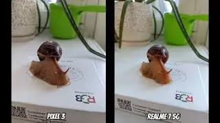 🔥Realme 7 5G vs Pixel 3. Тест камер видео + фото!🔥
