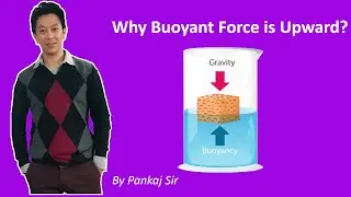 Why Buoyant force is upward?