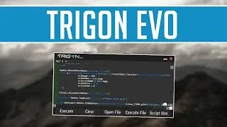 Trigon the new executor that i use