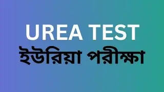 Serum Urea Test | Urea Blood Test