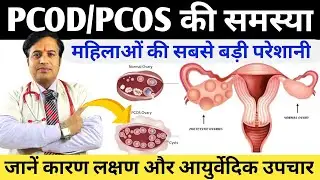 PCOD/PCOS की समस्या || PCOD के असरदार घरेलू उपाय || PCOD Problem Solution In Hindi #pcod #pcos