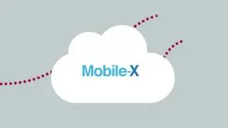 Mobile-X The Business Mobile Network
