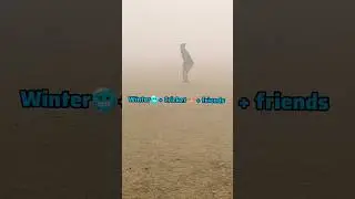 Cricket in winter 🥶 #cricket #cricketshorts #cricketlover #shorts #cricketervlog #winter #shortfeed
