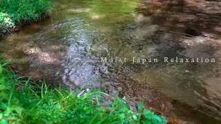 【きれいな水 やわらかい水流音】水のちょろちょろ流れる音、癒やしの3時間 ★137