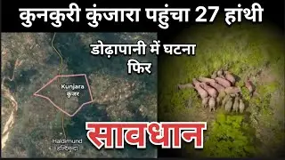 27 हाथियों का दल पहुंचा  कुंजारा जंगल #jashpurnews #kunkuri #elephantnews 