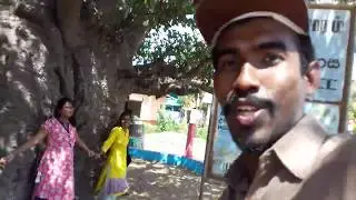 Best tourist place to visit in Mannar
