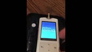 Diabetic alert dog- low sugar confirmation