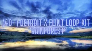 (40+) Detroit X Flint Loop Kit - ''Rainforest'' (Mg Sleepy, Yn Jay, BabyTron)