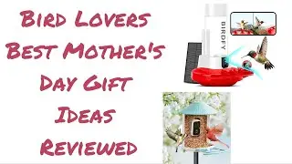 Birdfy Smart Bird Feeders Reviewed - Best Gift Ideas for Bird Lovers In Your Life