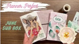 Planner Perfect June 2025 Sub Box & Leather Selection