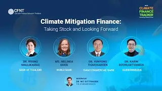 Climate Mitigation Finance: Taking Stock and Looking Forward