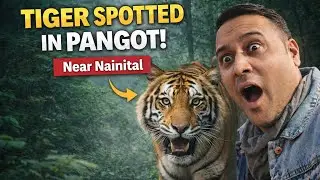 An exciting jungle safari with some animal encounters 