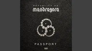 Passport (Original Mix)