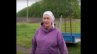 Кормилица