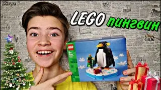 ЛЕГО ПИНГВИН🐧| обзор на набор LEGO 40498