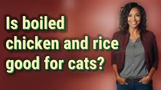 Is boiled chicken and rice good for cats?