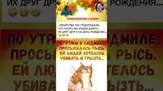 JOKES EVERY DAY! HUMOR! #смех #юмор #позитив #прикол #анекдоты #Witz #Humo #Lachen #мем #сміх #jokes