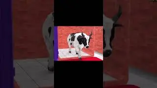 Cow Cartoon Video ||CowCartoon #CowAnimation #CowStories #KidsCartoon #AnimalCartoon ||ToonNationUSA