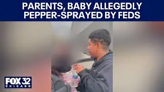 Parents, baby allegedly pepper-sprayed by federal agents