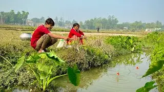 Fishing video | Amazing village fishing | village boy and village girl fishing in village canal