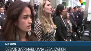 Mexico to Debate Marijuana Legalization