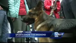 Weekend Pick: Top dog 'Rumor' at Sports Show