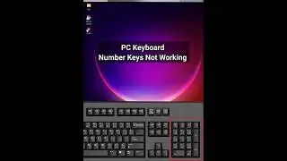 Fix for PC Keyboard Number Key Problem! #shorts