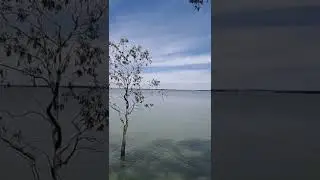 Lake Burrumbeet Fishing Victoria