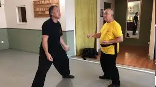 Yan Shou Chui - Cultiver le Chansijin - &eacute;tape interm&eacute;diaire vers le fajin