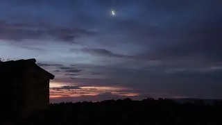 BjarkanMoss - Treasures from the wilderness.