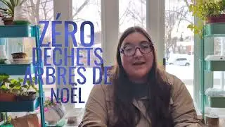 Z&eacute;ro d&eacute;chets arbre de No&euml;l #vulgarisationscientifique #diynature