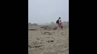 Dillons Beach